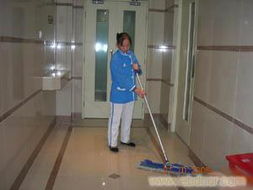 专业开荒保洁服务与物业管理 覆盖永嘉、洞头、平阳、苍南、文成、泰顺